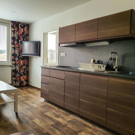 Apartmány SCHMIEDEBERG u KLÍNOVCE Kovářská Esterno foto